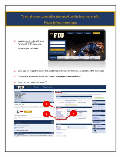 my panther mail fiu.